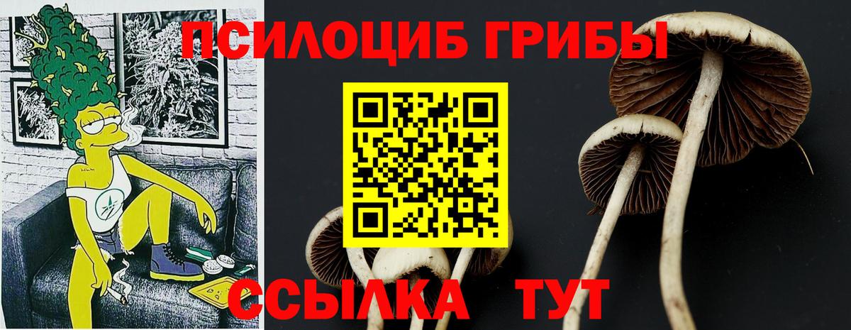 Псилоцибиновые грибы MAGIC MUSHROOMS Петрозаводск
