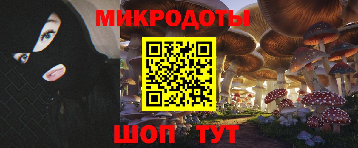 Галлюциногенные грибы MAGIC MUSHROOMS  Псилоцибиновые грибы Cubensis  Вход с VPN  Петрозаводск 